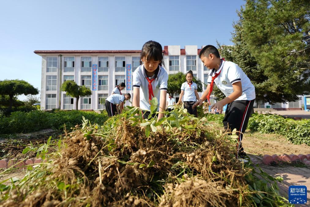 吆發娱乐下载
